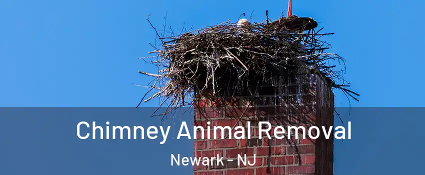 Chimney Animal Removal Newark - NJ