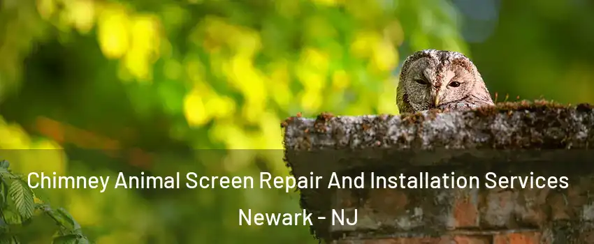  Chimney Animal Screen Repair And Installation Services Newark - NJ