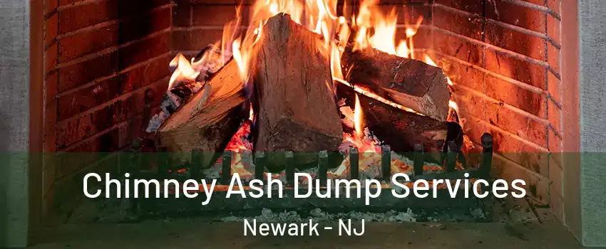  Chimney Ash Dump Services Newark - NJ