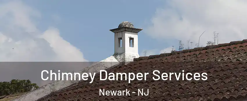  Chimney Damper Services Newark - NJ