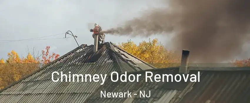  Chimney Odor Removal Newark - NJ