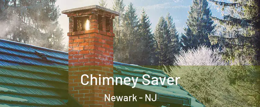  Chimney Saver Newark - NJ