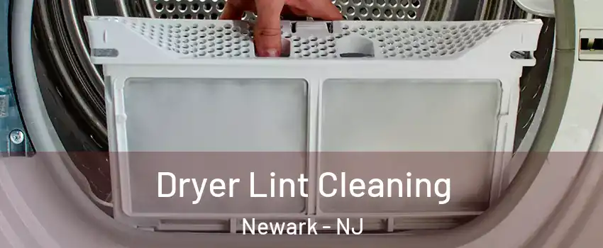  Dryer Lint Cleaning Newark - NJ