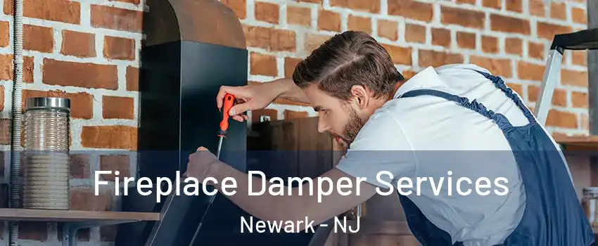  Fireplace Damper Services Newark - NJ