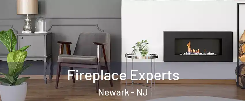  Fireplace Experts Newark - NJ