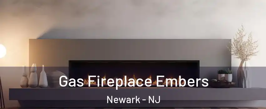  Gas Fireplace Embers Newark - NJ