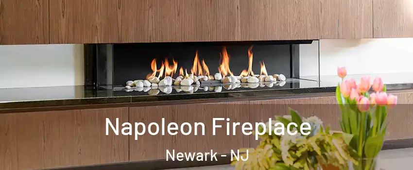  Napoleon Fireplace Newark - NJ