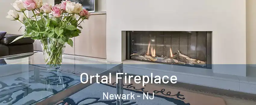 Ortal Fireplace Newark - NJ